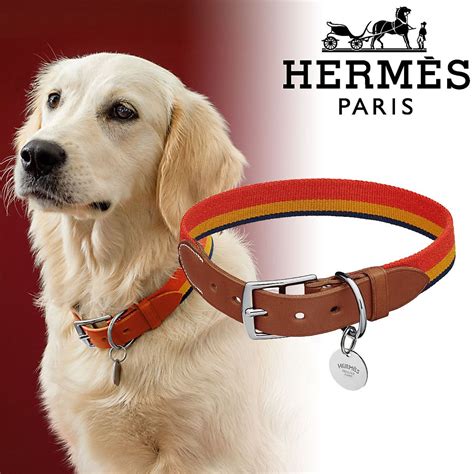 hermes pet accessories online.